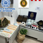 Desarticulen una organització criminal dedicada al cultiu de marihuana a Sant Feliu de Guíxols