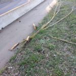 El fort vent causa incidències al Baix Empordà