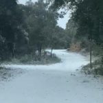 GALERIA: La neu arriba a cotes baixes a diverses poblacions del Baix Empordà Puig d'Arques. Imatge de David Gràcia.