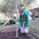 privat:-l’arbre-de-la-claudia,-un-exercici-de-consciencia