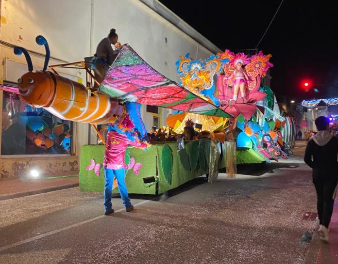 Rua de Carnaval de Sant Feliu de Guíxols. Maria Alsina