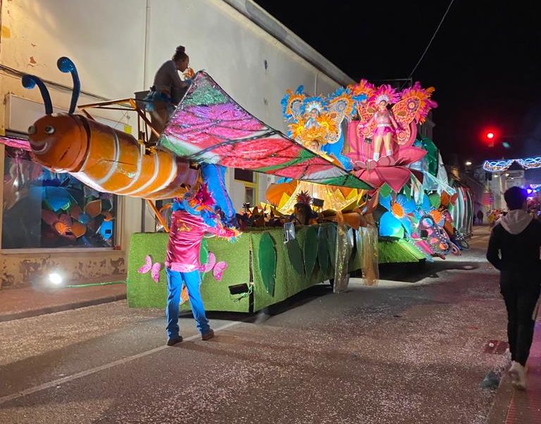 Rua de Carnaval de Sant Feliu de Guíxols. Maria Alsina