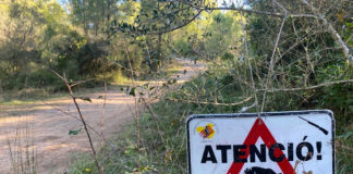 Unió de Pagesos entrarà al Parlament una nova proposició de llei de gestió sostenible de la fauna cinegètica Senglar. Emergència Cinegètica