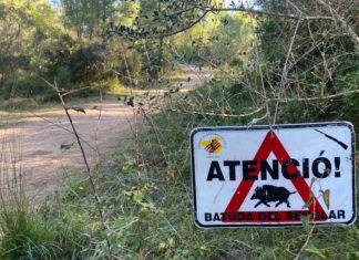 Unió de Pagesos entrarà al Parlament una nova proposició de llei de gestió sostenible de la fauna cinegètica Senglar. Emergència Cinegètica