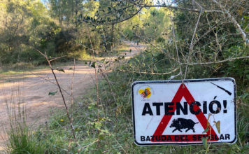 Unió de Pagesos entrarà al Parlament una nova proposició de llei de gestió sostenible de la fauna cinegètica Senglar. Emergència Cinegètica