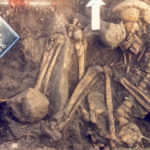 Les bases de la pesca costanera al Mediterrani es remunten fa uns 9.000 anys Imatge dels ossos analitzats per a l'estudi - Autor: Cementiri mesolític El Collado, València