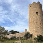 Begur inaugura l’exposició ‘Art de Bosc’ del doctor Martí Boada a l’Espai Mas d’en Pinc privat:-la-torre-del-mas-d’en-pinc-obre-les-seves-portes-perque-en-puguin-gaudir-veins-i-veines-i-visitants