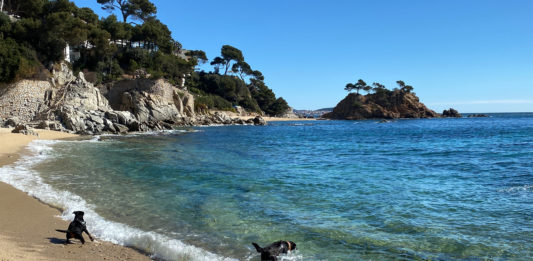Cala Belladona per gossos Platja d'Aro i Sant Antoni