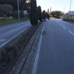 Begur desplega noves tasques de manteniment i millora dels espais públics durant el primer trimestre del 2023 privat:-l’ajuntament-desplega-noves-tasques-de-manteniment-i-millora-dels-espais-publics-durant-el-primer-trimestre-del-2023