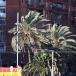 Protecció Civil activa l’alerta del pla Ventcat per la previsió de ventades a l’Empordà fins diumenge al migdia