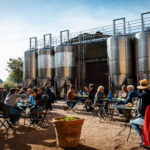 Els cellers de la Ruta del Vi de la DO Empordà reben gairebé un 70% més d’enoturistes durant el 2022 Ruta DO Empordà