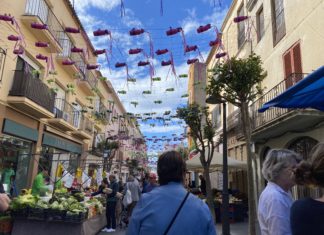 Francesc Niell: “El Flors i Violes és un festival que el fa la gent” flors i violes