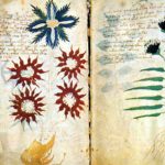Josep Torrent: “El manuscrit està catalogat entre cometes com el llibre més estrany que mai ningú ha aconseguit desxifrar” manuscrit Voynich