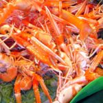 Un estudi constata com la reserva marina a Roses i Palamós ha permès recuperar la població d’escamarlà “en temps rècord” Escamarlà Palamós