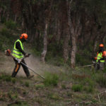 Els ajuts d’Acció Climàtica per prevenció d’incendis en boscos privats permetran netejar enguany 600 hectàrees a Girona Incendis forestals