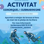privat:-“operacio-aigua-neta”-amb-l’associacio-de-veins-i-amics-de-sa-riera