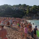 Prohibeixen el bany a Sa riera per la presència d’una tintorera