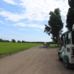 Arròs, tren i Empordà. Una manera de conèixer el Molí de Pals trenet de Pals, Xiulet amb camp d'arròs