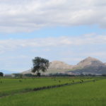 La Generalitat inicia la consulta pública per ampliar el Parc Natural del Montgrí, les Illes Medes i el Baix Ter Parc Natural del Montgrí