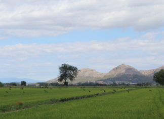 La Generalitat inicia la consulta pública per ampliar el Parc Natural del Montgrí, les Illes Medes i el Baix Ter Parc Natural del Montgrí