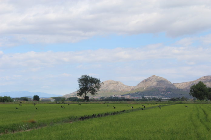 Parc Natural del Montgrí