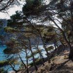 SOS Costa Brava celebra el seu 5è aniversari el proper divendres 4 d’agost a Torroella de Montgrí