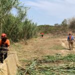 Finalitzen els treballs de millora dels aparcaments de Llafranc, Tamariu i Calella de Palafrugell aparcament Calella