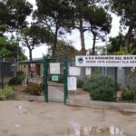 Disminueixen els abandonaments d’animals després de la pandèmia