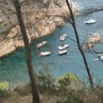 SOS Costa Brava alerta que les infraccions de les embarcacions a motor segueixen impunes Sos Costa Brava