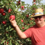 Poma de Girona preveu mantenir una alta producció, tot i la sequera Poma de Girona acte