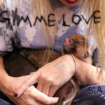 Sia anuncia el seu retorn amb ‘Gimme love’ sia-anuncia-el-seu-retorn-amb-‘gimme-love’