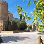 Més de 150 músics i cantaires celebraran l’obertura de la plaça del Monestir de Sant Feliu plaça del Monestir, Sant Feliu de Guíxols, actuacions musicals