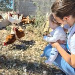 Benvinguts a Pagès La Festa torna al Baix Empordà