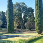 Ajornada l’aprovació dels apartaments al jardí protegit de Calella