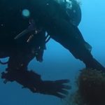 Retiren una xarxa de pesca perduda al fons marí entre Platja d’Aro i Sant Feliu de Guíxols Mossos d'esquadra xarxes de pesca