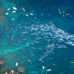 Torna la Radikal ocean52, la competició en aigües obertes a Calella i Llafranc Radikal Ocean52