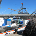 Govern i pescadors reclamen a l’Estat que replantegi la veda de sardina de quatre mesos perquè serà “la ruïna” al sector pescadors veda sardina