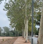 varwwwvhostsradiocapital.cathttpdocswp-contentuploads202309localimagesvorera16_-146×300.jpeg6500427f0e227.jpeg