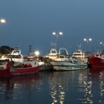 Els pescadors de Palamós celebren poder tornar a pescar sardina