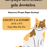 privat:-l’ajuntament-s’uneix-a-progat-begur-esclanya-per-esterilitzar-els-gats-domestics