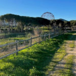 Un gos deslligat per un parc de Calonge ataca a una nena i la justícia arxiva el cas