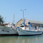 Diversos professionals de la mar exposen la seva feina a bord de les Barques del Peix de Palamós barques_peix_museu_pesca