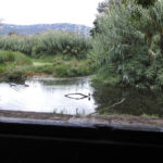 Castell-Platja d’Aro impulsarà 6 projectes dels pressupostos participatius valorats en 205.000 euros Pressupostos participatius projecte Platja d'Aro