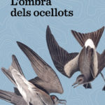 Recomanació literària: “L’ombra dels ocellots” de Miquel Riera