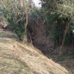 privat:-treballs-de-millora-i-desbrossament-de-la-riera-de-les-brugueres-a-palafrugell