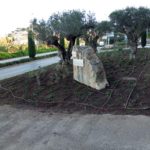 privat:-remodelacio-de-diverses-zones-enjardinades-per-adaptar-les-a-la-sequera