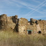Recuperem les Torretes: “Hem intentat que la gent torni a recordar el que hi havia viscut allà” recuperem les torretes