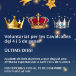 privat:-voluntariat-per-les-cavalcades del-4-i-5-de-gener