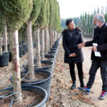 La Generalitat flexibilitza les restriccions per sequera a pagesos, ramaders i viveristes que fan un ús eficient de l’aigua Sequera estalvi d'aigua Generalitat ACA Vivers Pagesos