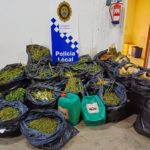 La Policia Local de Palamós decomissa 20 quilos de marihuana detenció Palamós Marihuana